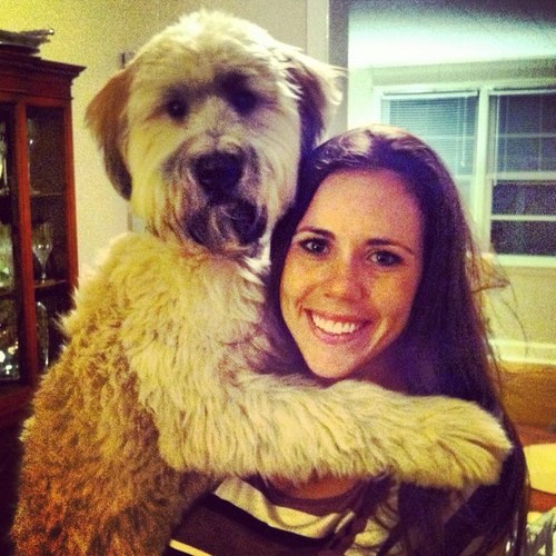 knterry's profile picture. 