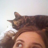eminence cunt (@juliagriswold) 's Twitter Profile