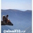 alnaif33's profile image