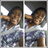 _JustJessicaa's profile image