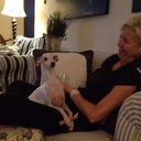 Sharon Parr - @lailasoma - Twitter