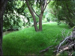 AbbyBSWard's profile picture. mum, wife, reader, writer, teacher.