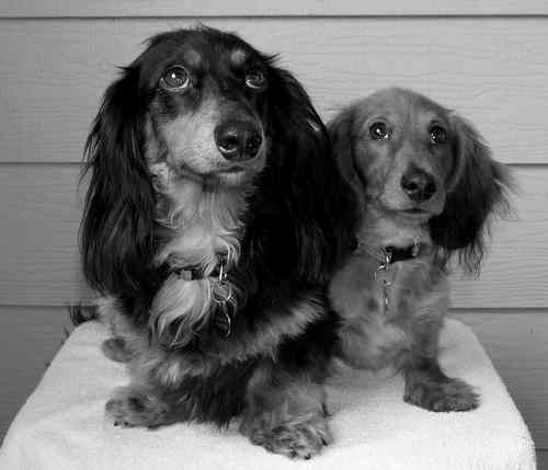 brian_margolis's profile picture. • marketing director • entrepreneur • traveler • adventurer • health • fitness