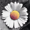 James Hendy - @henzyx - Twitter