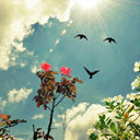 Rooh (@11Reemaa) Twitter