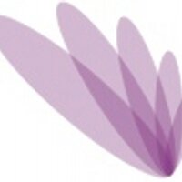 Navam Capital (@navamcapital) 's Twitter Profile