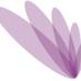 Navam Capital (@navamcapital) Twitter profile photo Navam Capital (@navamcapital) Twitter profile photo