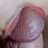 gece.kuşu's Twitter (X) avatar