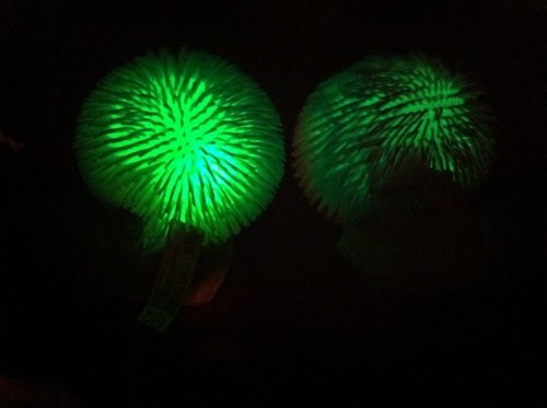 davebedwell's profile picture. 