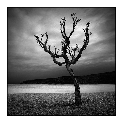 Je suis quelqu'un de très calme, qui prend son temps pour tout, on me dit toujours que je suis lente mais à quoi bon se presser ?