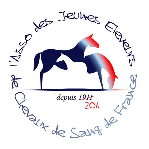 UN OEIL NOUVEAU SUR LE MONDE DES COURSE découvrez la filière des courses au galop de manière festive et conviviale par le biais d'une asso jeune et passionée!