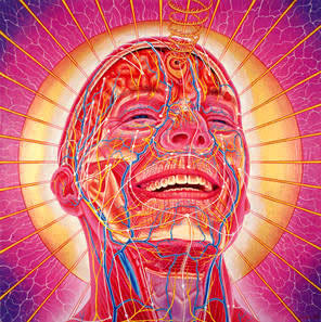 Consciousness, survivaLism, abSinthe, rainbows
