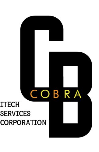 cobraitech's profile picture. 