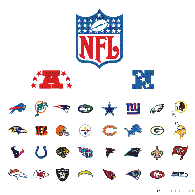 NFL Fan