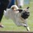 davies_bronwyn's profile image