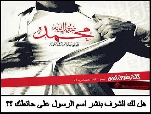 JAMALIDDINE's profile picture. 