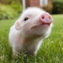 Sandra Wenzel - @sanirubi - Twitter