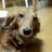 ykinou's profile image