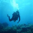 Tom Wickman - @tomwickman - Twitter