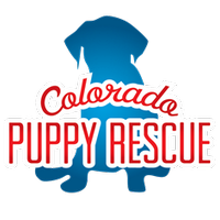 Colorado Puppy Rescue(@COPuppyRescue) 's Twitter Profileg
