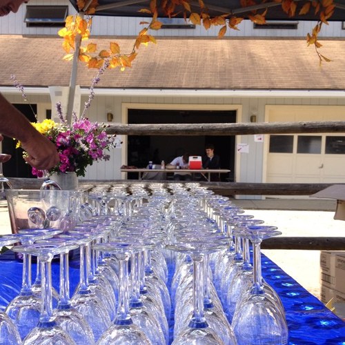 StoningtonViney's profile picture. One of Connecticut’s oldest vineyards that produces premium fine wines from all local varietals.