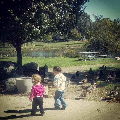 Heller1212's profile picture. 