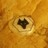 wolves_boy's profile image