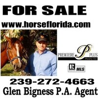 Glen Bigness, Realtor(@horseflorida) 's Twitter Profile Photo