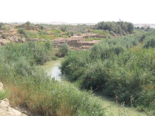 ChariotReader's profile picture. The pen is mightier than the sword.