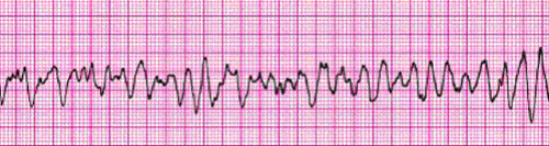 arkahelmy's profile picture. 