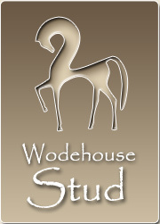 The perfect home for your horse in Norfolk. We also breed warm blood show jumpers as well as coaching, schooling and breaking. Home of http://t.co/GyThWHSdmn