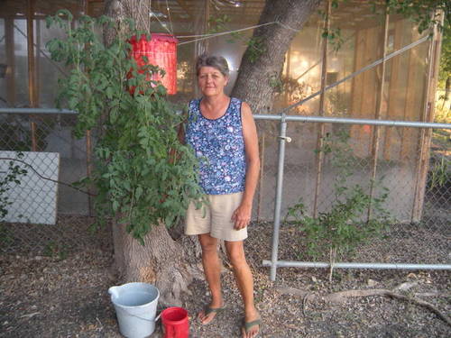 If you still have your mother,or even close friends you'd be devastated to lose, please read Nancy's story and imagine this happening to them.