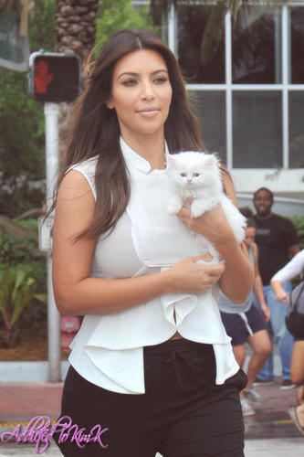 Kim's doggie! xo