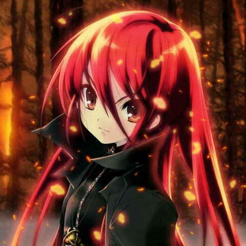 negithink's profile picture. 穏健