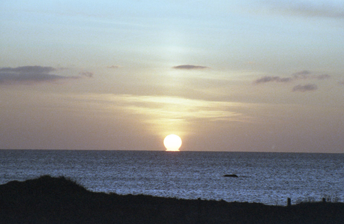 coatesi3's profile picture. 