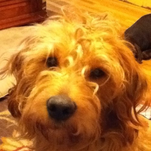 Heather42224292's profile picture. 