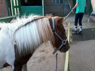 anoukgeweldig9's profile picture. 