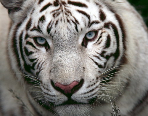 gajiyamada's profile picture. バイナリーオプションで少し利益が出せるようになってきた今日このごろ。最近はもっぱら60セカンズをちまちまやってます。FXも細々と続けてます。めっきり弱り目の虎も細々応援しています。