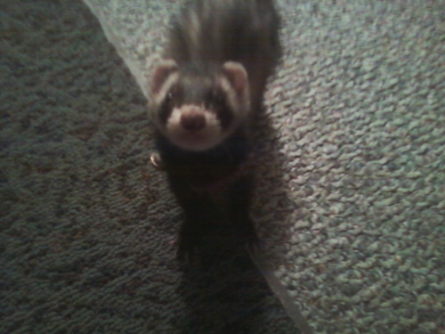 Tammielrod's profile picture. 