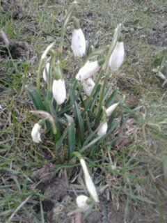 gleessa's profile picture. Life can be about taking chances and finding really great things and yes, failing sometimes. Or it can be about wondering what if because you never dared to try