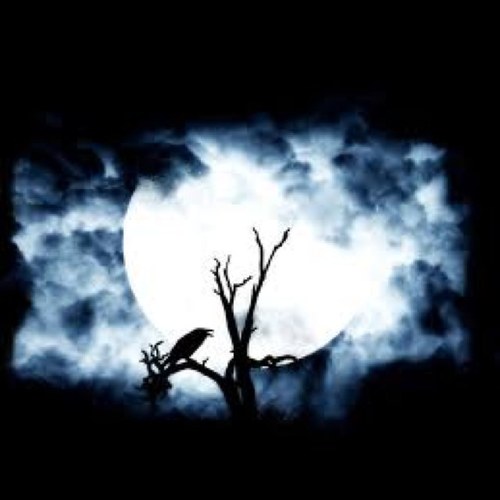 SAVE_US_NWH's profile picture. The inventor of insults.The original pro wrestling enthusiast. #NowWhatNash