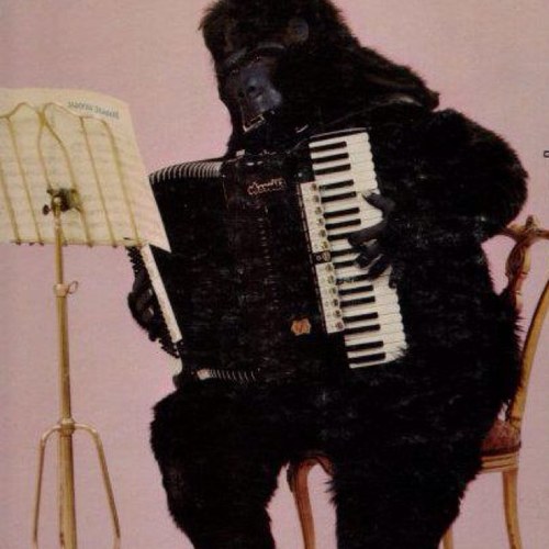 oculusorguk's profile picture. 