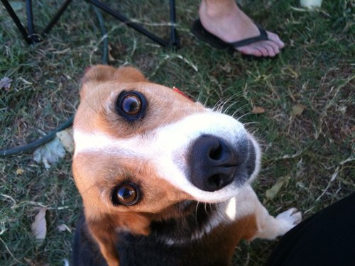 isthisit29's profile picture. A million thoughts and only 140 characters... Lucky you!