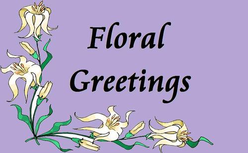 SalSalflowers's profile picture. I am a mother and I have just set up my own business, making floral gift baskets and planters. Check out my website http://t.co/tOjDClzztS