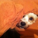 Madeleine Ruff - @sunny5384 - Twitter