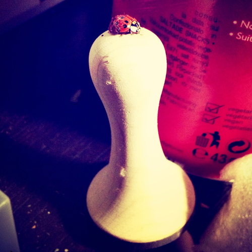 Emotion of chess. These are the Best Chessmen Ever by GNovak.