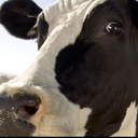 clare stone - @clarestone - Twitter