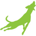 Official Twitter account of Flyball team The Calverley Chasers based in Rawdon, Leeds.
