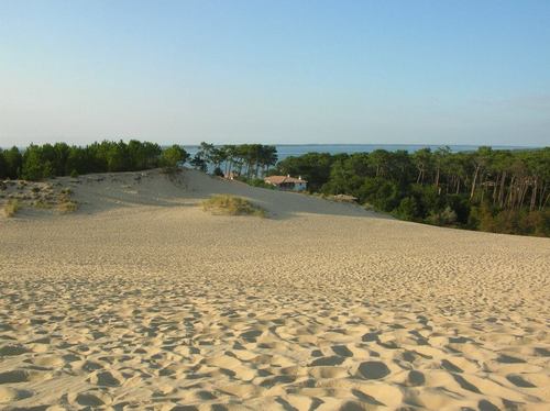 fleurdelys75016's profile picture. 