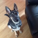 Declan Moody - @DeclanMoodyUK - Twitter